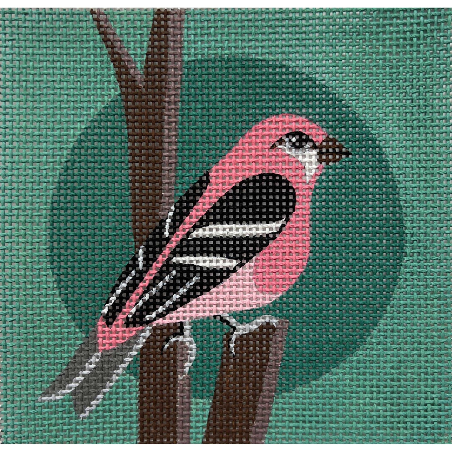 Pink Bird on Teal Canvas