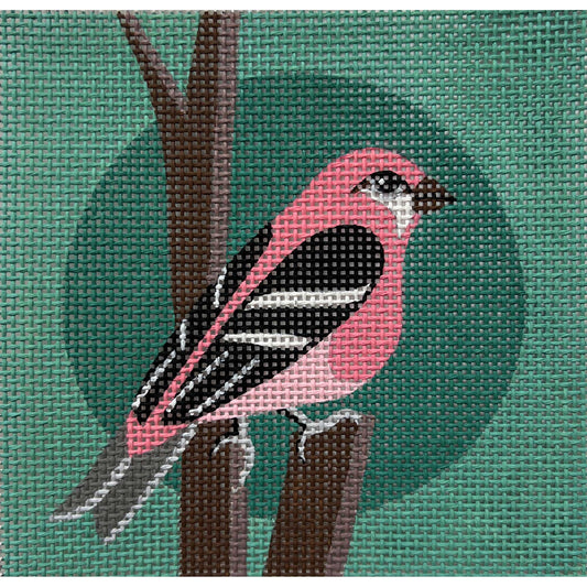 Pink Bird on Teal Canvas